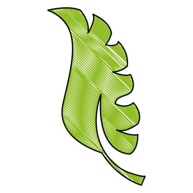 rendelenmiş düz egzotik yaprak bitki tasarım vektör çizim