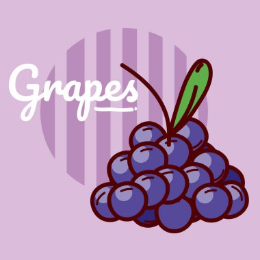 Üzüm meyve karikatür vektör çizim grafik tasarım