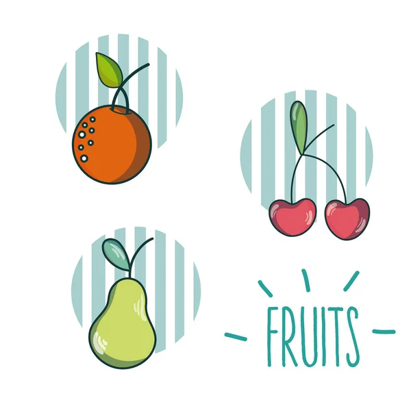 Conjunto Frutas Desenhos Animados Coleção Vetor Ilustração Design Gráfico —  Vetores de Stock