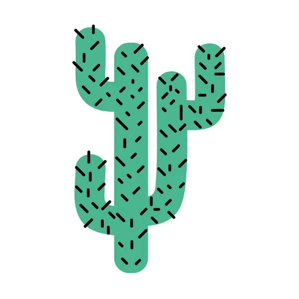 Illustration Vectorielle Naturelle Colorée Désert Plante Été Cactus — Image vectorielle