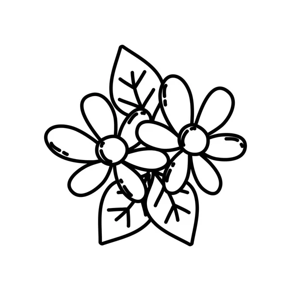 Lijn Van Mooie Bloemen Met Bloemblaadjes Natuurlijke Bladeren Vector Illustratie — Stockvector