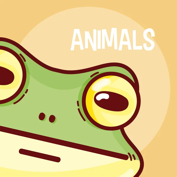 Rana Lindo Animal Dibujos Animados Vector Ilustración Diseño Gráfico — Vector de stock