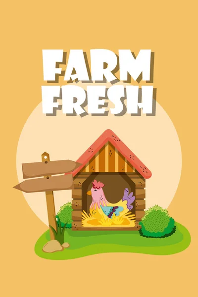 Farm Fresh Chicken House Cartoons Vector Illustration Graphic Design — Stock Vector