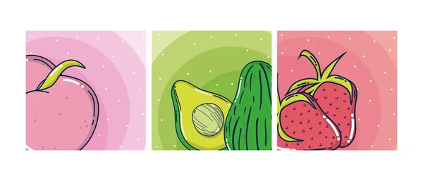 Set Von Fruchtkarten Cartoons Vektor Illustration Grafik Design — Stockvektor