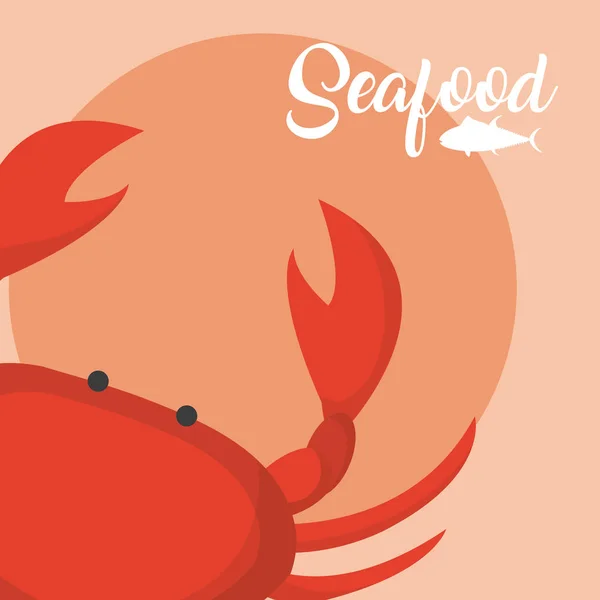 Crabster Fruits Mer Sur Fond Rouge Illustration Vectorielle Graphisme — Image vectorielle