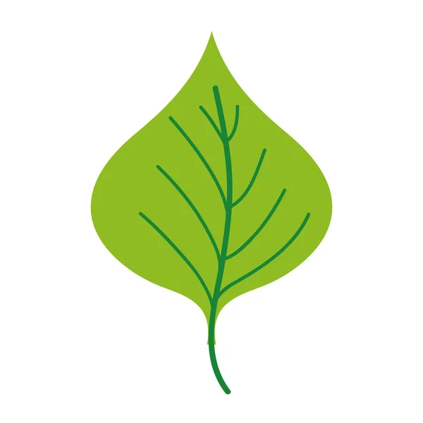 Färgglada Växt Leaf Design Till Naturliga Ikonen Vektorillustration — Stock vektor