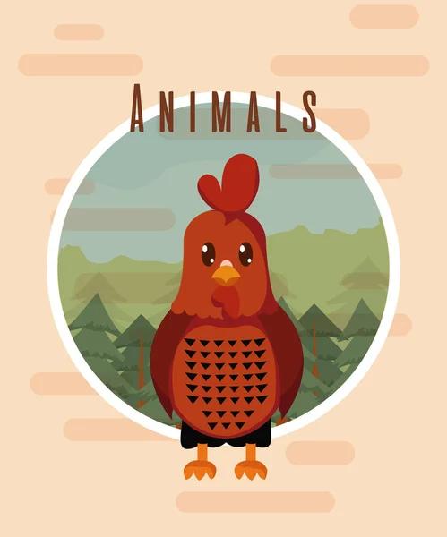 Chicken cute animal colorful card cartoon vector illustration graphic design