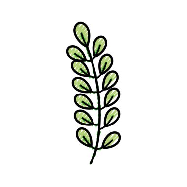 Çiçek Bahçe ve Doğa Tema izole tasarım vektör çizim yaprak