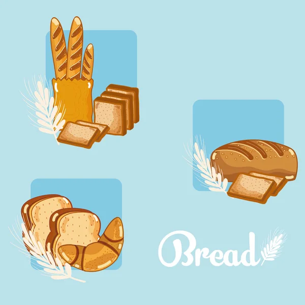 Set Brot Bunte Symbole Vektor Illustration Grafik Design — Stockvektor