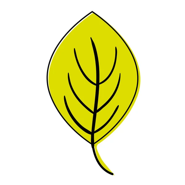 Χρώμα Φύλλα Τροπικό Φυτό Φύση Σχεδιασμό Εικονογράφηση Φορέα — Διανυσματικό Αρχείο