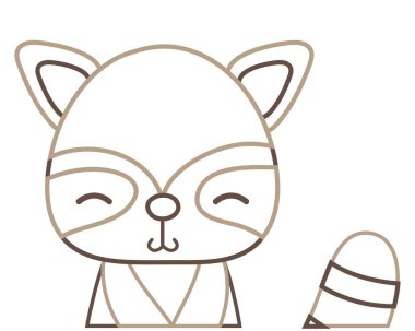 renkli çok güzel ve utangaç rakun vahşi hayvan vektör çizim