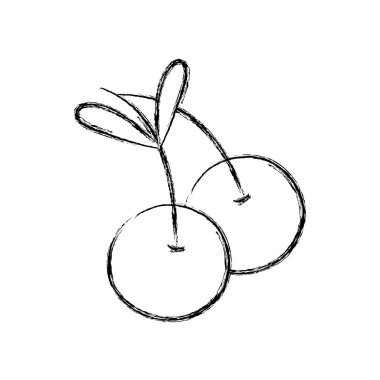 Şekil lezzetli kiraz meyve sağlıklı beslenme vektör çizim ile