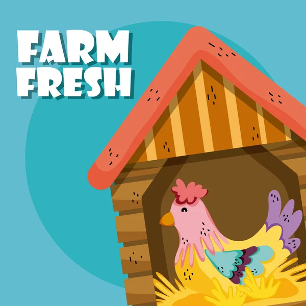 农场新鲜可爱的鸡在房子动物卡通矢量插图图形设计 — 图库矢量图片