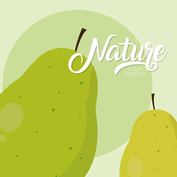 Poires Fraîches Biologiques Illustration Vectorielle Fruits Graphisme — Image vectorielle