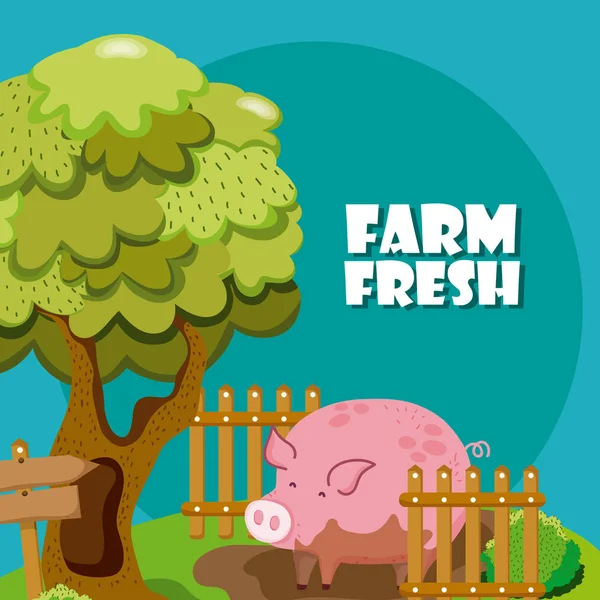 Farm Friss Aranyos Disznó Sárban Természet Rajzfilmek Vektoros Illusztráció Grafikai — Stock Vector