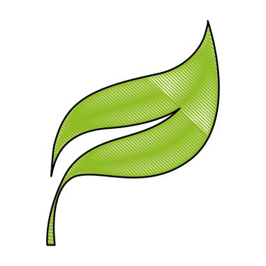 rendelenmiş doğa egzotik bitki yaprak tasarlamak vektör