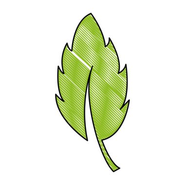rendelenmiş yaprak bitki doğa flora tasarlamak vektör