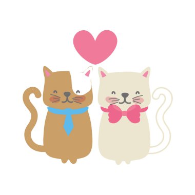 Hayvan evde beslenen hayvan ve yavru tema izole tasarım vektör çizim karikatür kedi