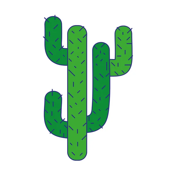 Line Färg Naturliga Cactus Sommar Växt Öken Vektorillustration — Stock vektor