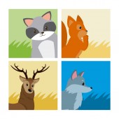 Картина, постер, плакат, фотообои "set of of cute animals cards vector illustration graphic design", артикул 244786358