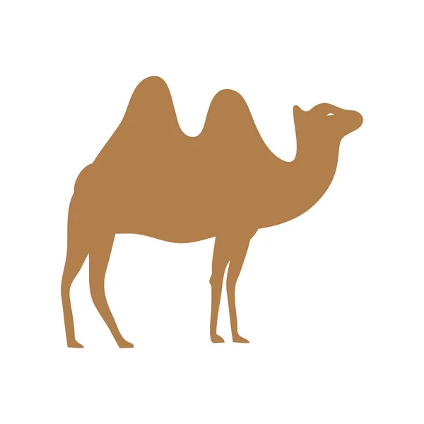 Верблюд Зоопарка Пустынной Темы Изолированный Дизайн Векторная Иллюстрация — стоковый вектор
