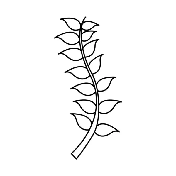 Lijn Natuur Takken Bladeren Plant Design Vectorillustratie — Stockvector