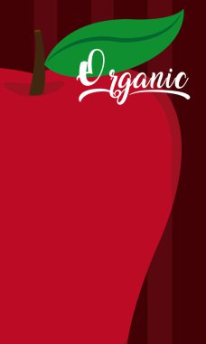 Elma meyve karikatür vektör çizim grafik tasarım