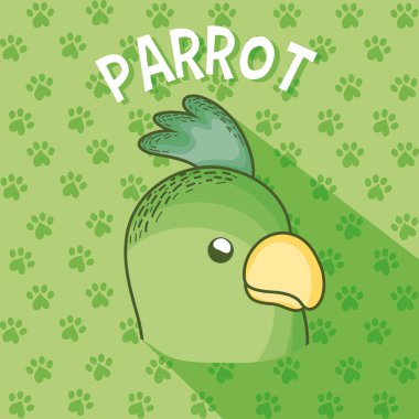 Sevimli papağan karikatür vektör çizim grafik tasarım