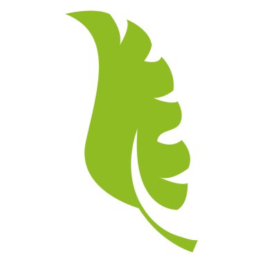 renkli düz egzotik yaprak bitki tasarım vektör çizim