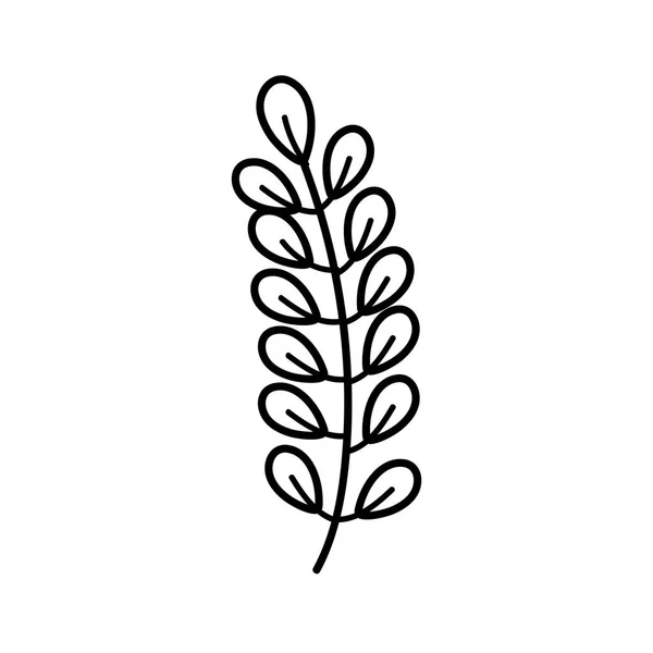 Лист Квіткової Садової Природної Тематики Ізольований Дизайн Векторні Ілюстрації — стоковий вектор