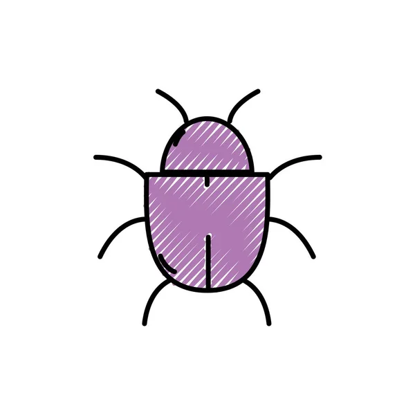 Riven Spindel Insekt Till Web Fara Symbol Vektorillustration — Stock vektor
