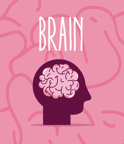 Ανθρώπινος Εγκέφαλος Cartoon Ροζ Φόντο Εικονογράφηση Διάνυσμα Γραφικού Σχεδιασμού — Διανυσματικό Αρχείο