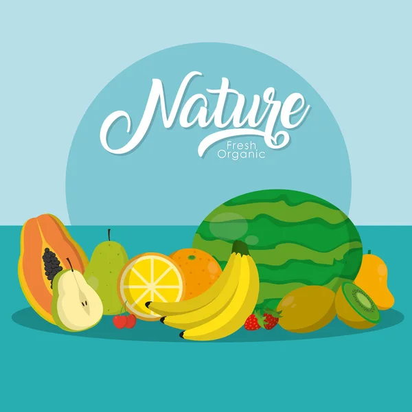 Deliciosas Frutas Naturaleza Sobre Colorido Vector Fondo Ilustración Diseño Gráfico — Vector de stock