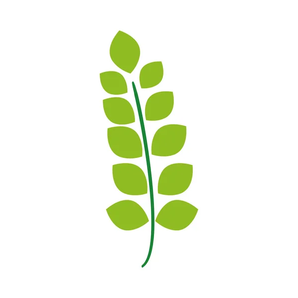 カラフルなエキゾチックな枝の葉植物デザイン ベクトル図 — ストックベクタ