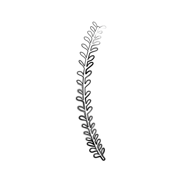 Figure Branche Rustique Avec Des Feuilles Naturelles Dessin Illustration Vectorielle — Image vectorielle