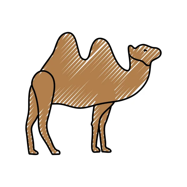 Camel Animal Zoo Desert Theme Isolated Design Vector Illustration — Stock Vector