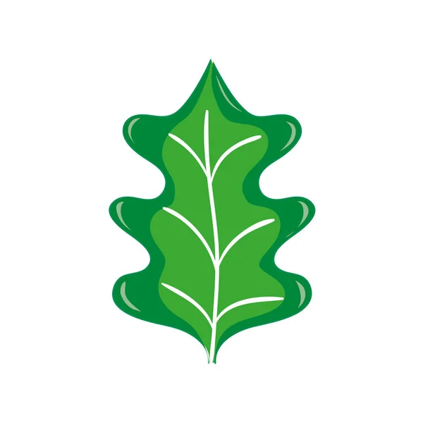 Färgglada Tropiska Grönkål Leal Naturliga Växt Vektorillustration — Stock vektor