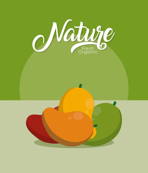 Mangos Fruta Fresca Orgánica Vector Ilustración Diseño Gráfico — Vector de stock