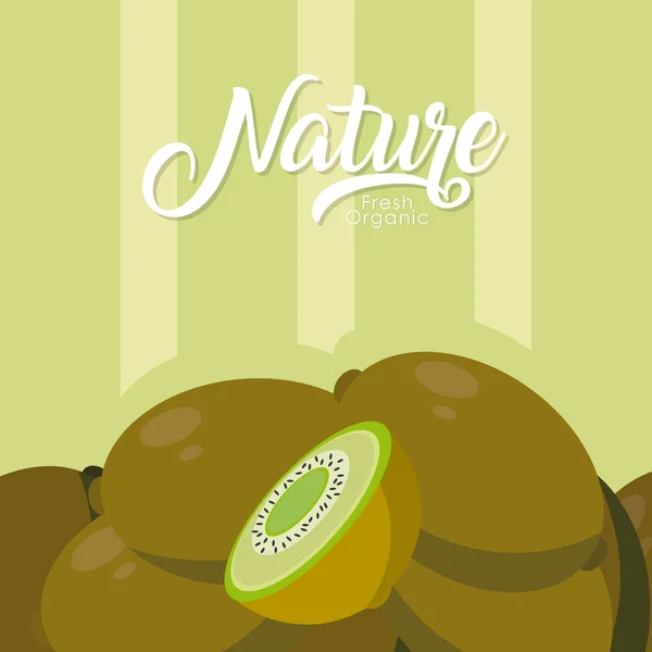 Kiwi Doormidden Gesneden Fruit Vector Illustratie Grafisch Ontwerp — Stockvector