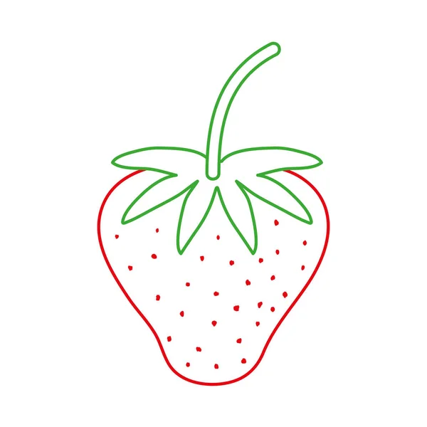 Color Line Delicious Strawberry Fresh Organic Fruit Vector Illustration — Stock Vector