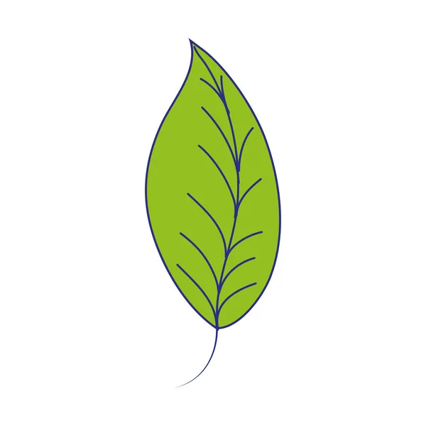 Plné Barvy Přírodní Listové Rostlina Botaniky Design Vektorové Ilustrace — Stockový vektor