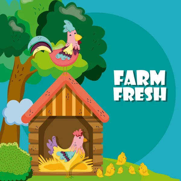 Farm Friss Aranyos Csirke Pecsenyesütő Ház Rajzfilmeket Vektoros Illusztráció Grafikai — Stock Vector