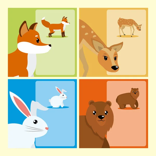 Set Cute Animals Cards Vector Illustration Graphic Design — Stock Vector
