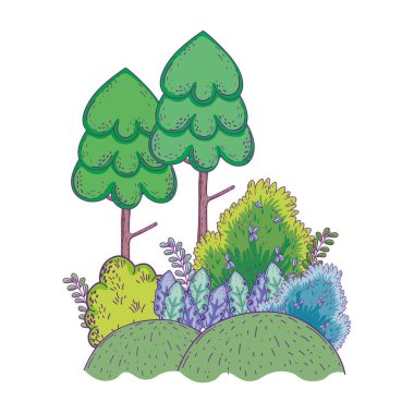 güzel orman manzara sahne