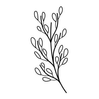 Yapraklı ağaç dalı.