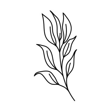 Yapraklı ağaç dalı.