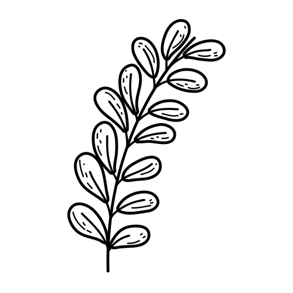 Branche avec plante à feuilles — Image vectorielle