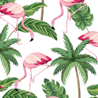 tropikal flamingolar çizgi film