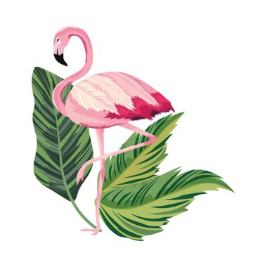 tropikal flamingo karikatür