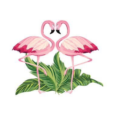 tropikal flamingolar çizgi film